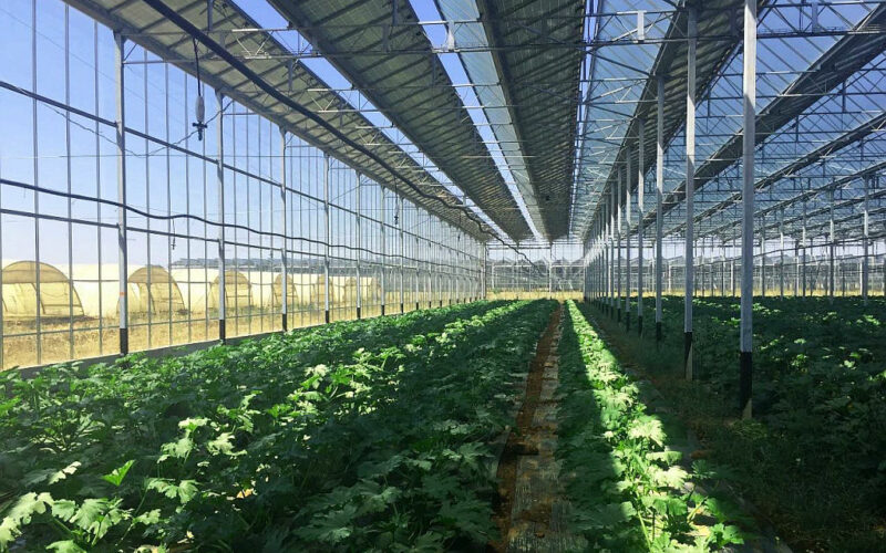 pv_tunnel_greenhouse